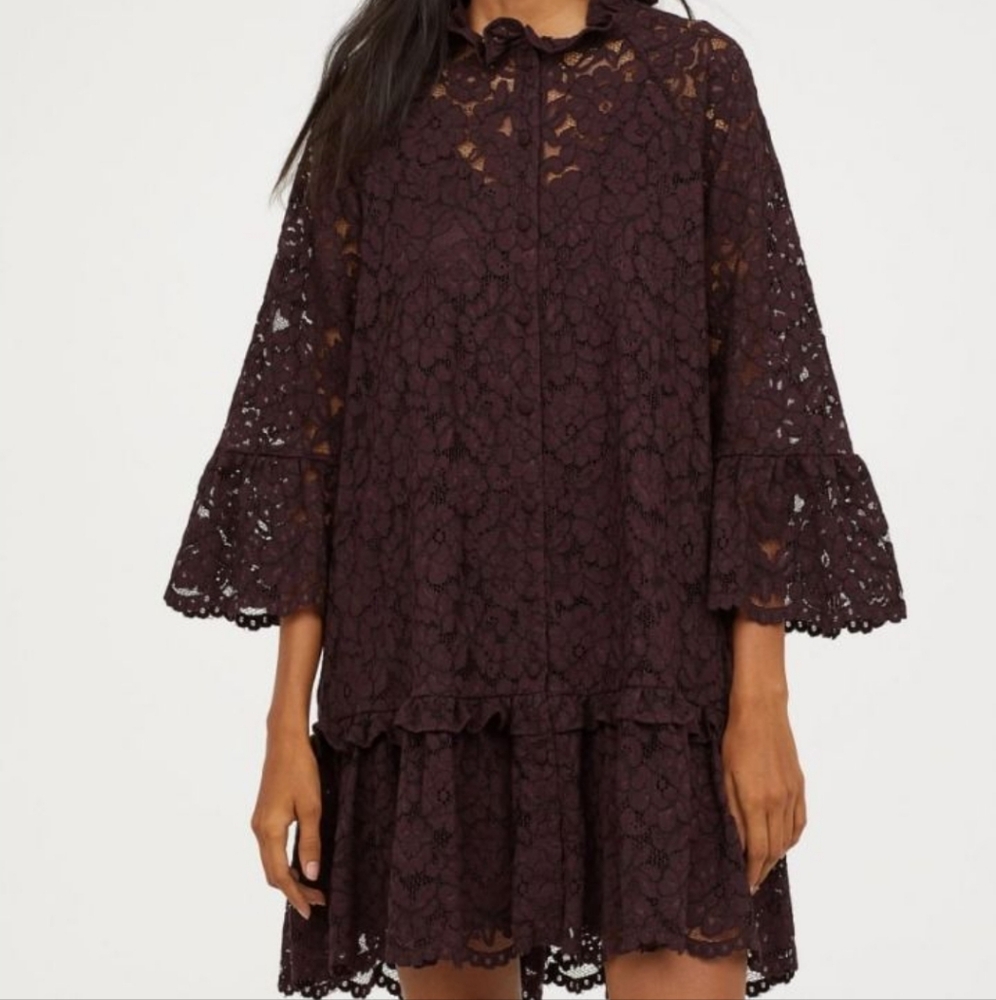 H&M Long Sleeve Lace Dress in Deep Purple